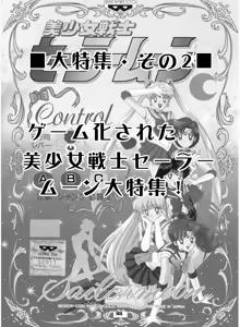 Page 144 of Sailor Moon Dokubon - preview thumbnail