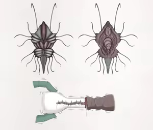 Page 98 of Insect Research Report - preview thumbnail