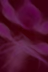 Page 64 of collaged insect hentai 5 - preview thumbnail