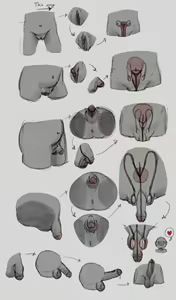 Page 2 of Anatomically Correct TG/TSF Genital Transformations - preview thumbnail