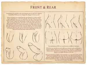 Page 537 of Anatomically Correct TG/TSF Genital Transformations - preview thumbnail