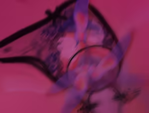 Page 56 of collaged insect hentai 6 - preview thumbnail