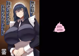 Muhyoujou de Nani Kangaeteru ka Wakaranai Maid - hentai manga cover image