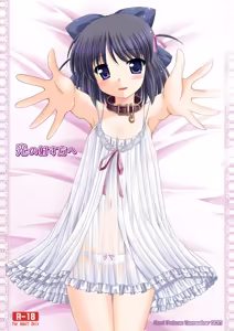 Hikari no Sasu Kata e — hentai manga cover on Fhentai