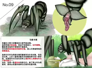 Page 48 of 蟲研究レポート_ Character profile+No.01-30 - preview thumbnail