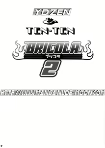 Page 3 of BRICOLA 2 - preview thumbnail