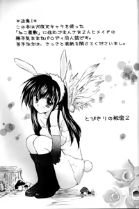 Page 2 of Tobikiri no Himitsu 2 - preview thumbnail
