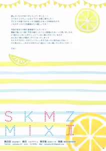 Page 12 of SKMZMIXⅡ - preview thumbnail