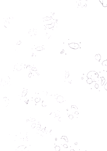 Page 107 of Soukan - preview thumbnail