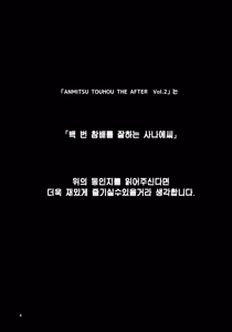 Page 3 of ANMITSU TOUHOU THE AFTER Vol.2 (decensored) - preview thumbnail