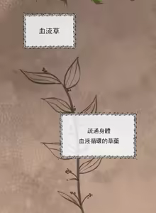 Page 103 of 草药爱谈 | Herbal Love Story 1-46 - preview thumbnail