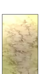 Page 665 of 草药爱谈 | Herbal Love Story 47-80 - preview thumbnail