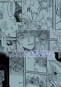 Page 7 of Hiraisu o daite[The Legend of Zelda) - preview thumbnail
