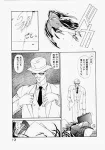 Page 17 of Seraphic Feather 02 - preview thumbnail