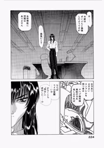 Page 228 of Seraphic Feather 02 - preview thumbnail