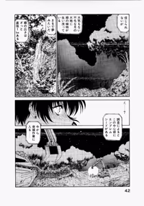 Page 46 of Seraphic Feather 02 - preview thumbnail