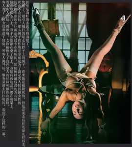 Page 165 of qibiya 祁比亚 - preview thumbnail