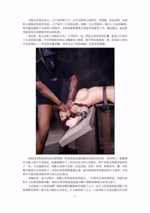 Page 567 of qibiya 祁比亚 - preview thumbnail