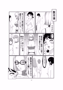 Page 17 of k4 - preview thumbnail