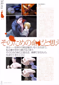 Page 12 of Vampirdzhija Vjedogonia Kikokugai -Perfect Graphics- Art Book - preview thumbnail