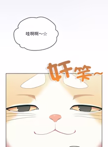 Page 942 of 喵来的恋爱 | 喵來的戀愛 1-54 END - preview thumbnail