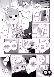 Hatsujou Nyanko wa Goshujin-sama ni Amaetai - hentai manga cover image