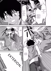 Page 4 of Seiki Shinshoku - preview thumbnail