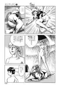 Page 133 of Kanburian Kanzenban Cambrian 03 - preview thumbnail