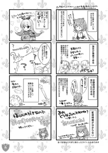 Page 14 of Aigis MIX - preview thumbnail