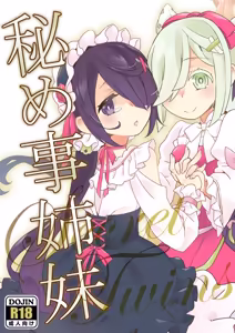 Himegoto Shimai - Secret Twins — hentai manga cover on Fhentai