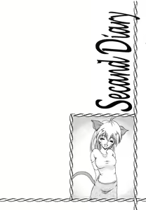 Page 25 of Second Diary - preview thumbnail
