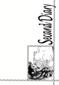 Page 67 of Second Diary - preview thumbnail