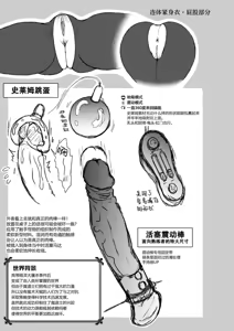 Page 276 of 黄昏の娼エルフ - preview thumbnail