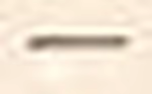 Page 1071 of Otome Renshin Prister FANDISC ～ Motto H ni Koi seyo Otome! ～ - preview thumbnail