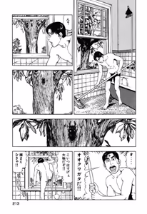 Page 214 of Stairway To Heaven #2 - preview thumbnail