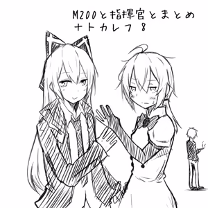 Page 311 of Tokarev - preview thumbnail
