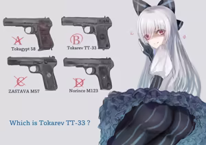 Page 463 of Tokarev - preview thumbnail