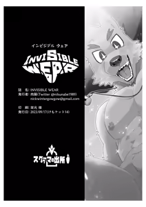Page 41 of INVISIBLE WEAR - preview thumbnail