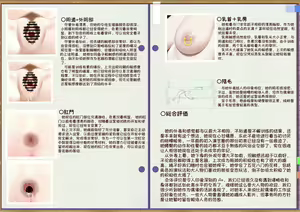 Page 16 of Hametori Report - preview thumbnail
