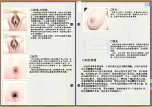 Page 20 of Hametori Report - preview thumbnail