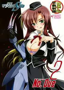 Mahou Shoujo MAGICAL SEED No.Due (Mahou Shoujo Lyrical Nanoha - hentai manga cover image