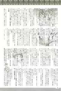 Page 78 of 2D Dream Magazine 2004-01 Vol. 14 - preview thumbnail