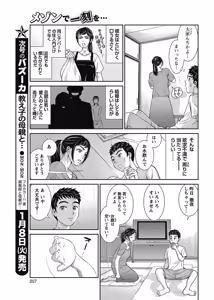 Page 206 of COMIC Bazooka 2013-01 - preview thumbnail