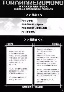 Page 3 of Torawareru Mono - preview thumbnail
