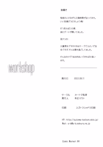 Page 17 of workshop - preview thumbnail