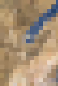 Page 355 of RO - preview thumbnail