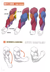 Page 116 of How to Draw a Muscular Girl for the First Time - Master the Key "Muscle Points" - preview thumbnail