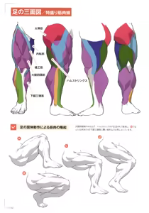 Page 118 of How to Draw a Muscular Girl for the First Time - Master the Key "Muscle Points" - preview thumbnail
