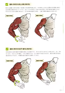 Page 29 of How to Draw a Muscular Girl for the First Time - Master the Key "Muscle Points" - preview thumbnail