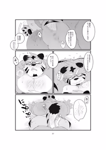 Page 37 of 双子の関西弁虎おっさんが騙されてAV出演する本 - preview thumbnail